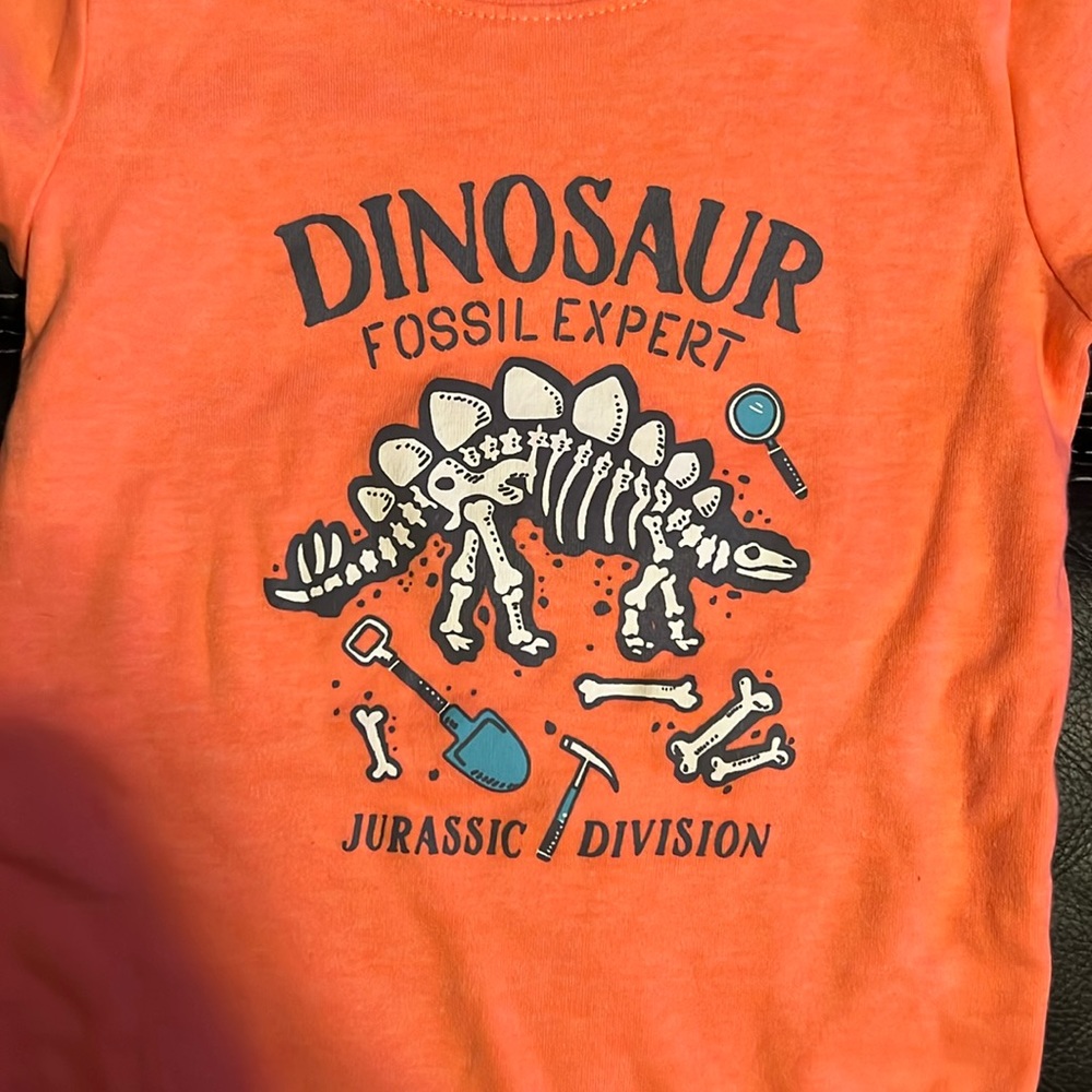 Carters 24 month Dinosaur onesie